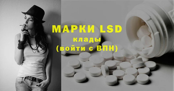 бошки Ладушкин
