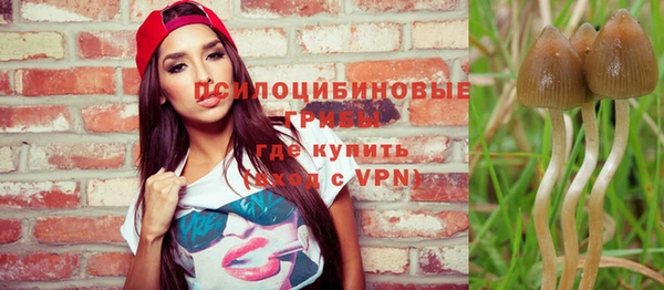 альфа пвп Лагань